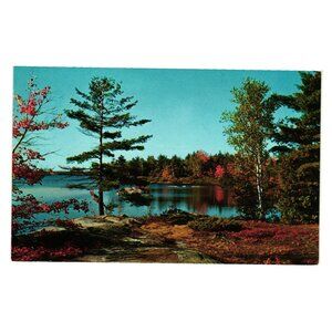 Greetings Hastings Canada Kodachrome Thatcher Studio Scenic Postcard Lake Trees